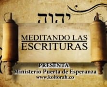 Meditando Las Escrituras en Canal 12 – Viviendo Mejor