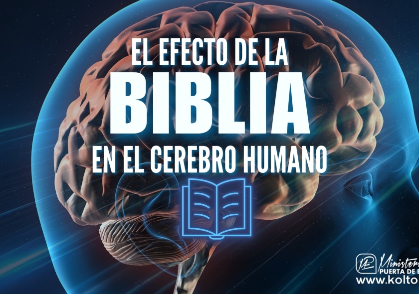 El EFECTO de la BIBLIA en el CEREBRO humano |